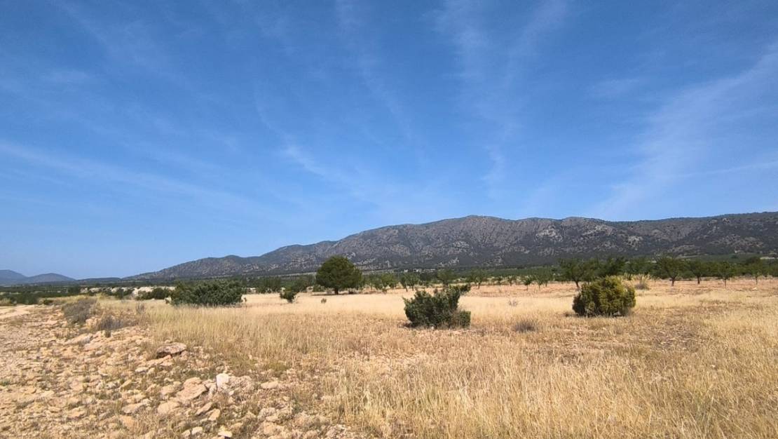 Sale - Land - Monóvar - Monòver - Monóvar - Monòver Centro