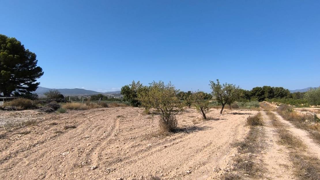 Sale - Land - Monóvar - Monòver - Monóvar - Monòver Centro