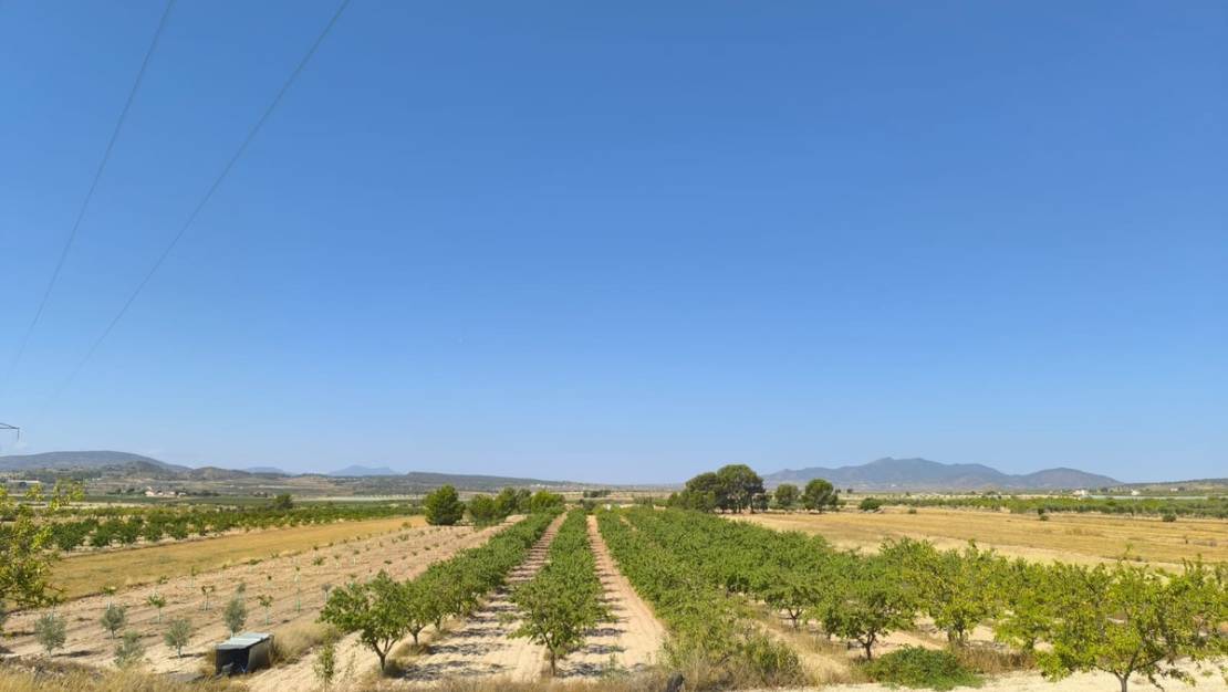 Sale - Land - Monóvar - Monòver - Monóvar - Monòver Centro