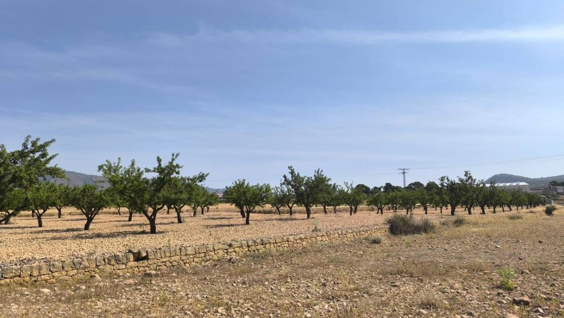 Sale - Land - Monóvar - Monòver - Monóvar - Monòver Centro