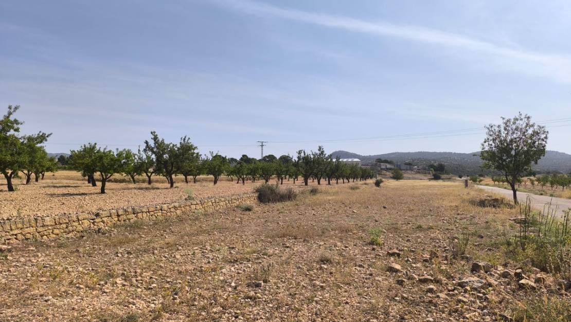 Sale - Land - Monóvar - Monòver - Monóvar - Monòver Centro