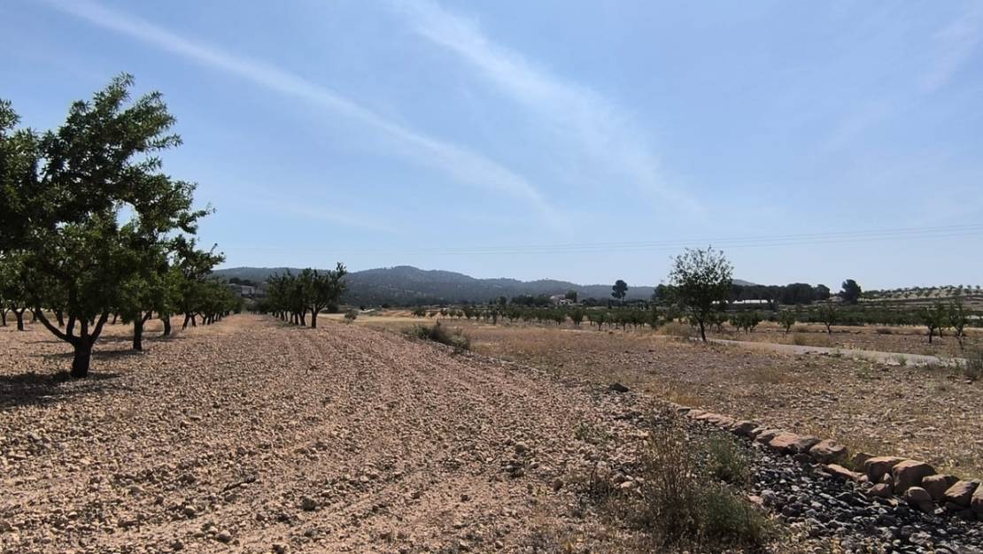 Sale - Land - Monóvar - Monòver - Monóvar - Monòver Centro