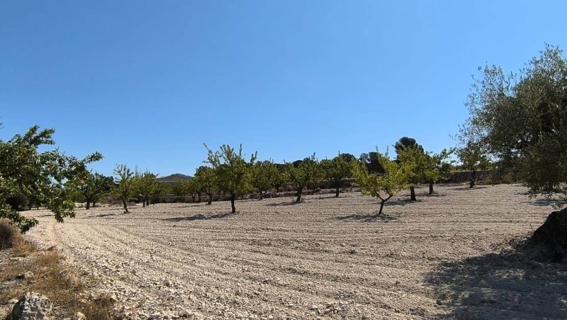 Sale - Land - Monóvar - Monòver - Monóvar - Monòver Centro