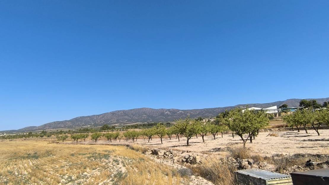 Sale - Land - Monóvar - Monòver - Monóvar - Monòver Centro