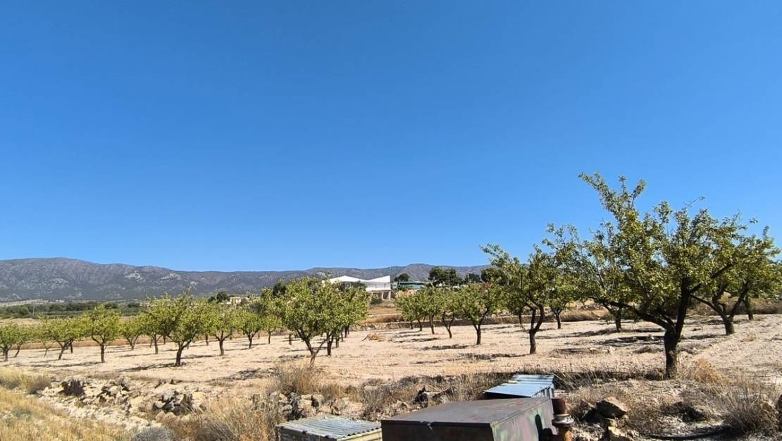 Sale - Land - Monóvar - Monòver - Monóvar - Monòver Centro