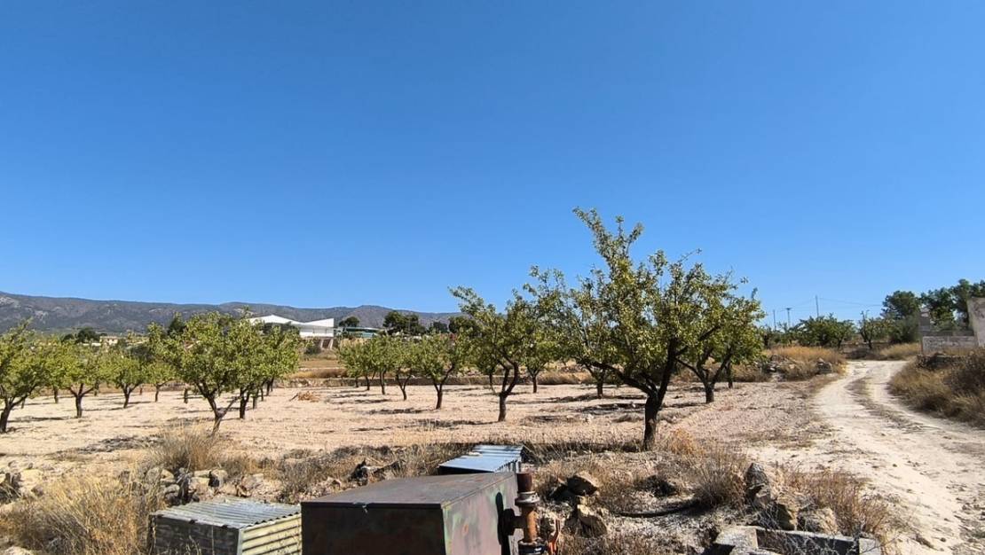 Sale - Land - Monóvar - Monòver - Monóvar - Monòver Centro