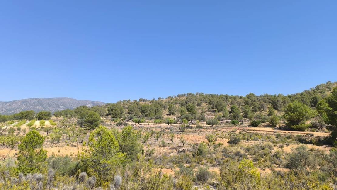 Sale - Land - Monóvar - Monòver - Monóvar - Monòver Centro