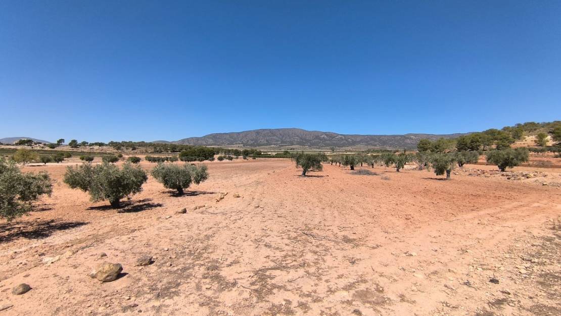 Sale - Land - Monóvar - Monòver - Monóvar - Monòver Centro