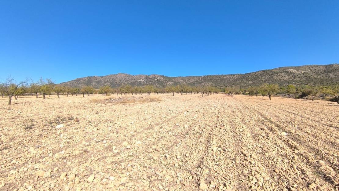 Sale - Land - Monóvar - Monòver - Monóvar - Monòver Centro