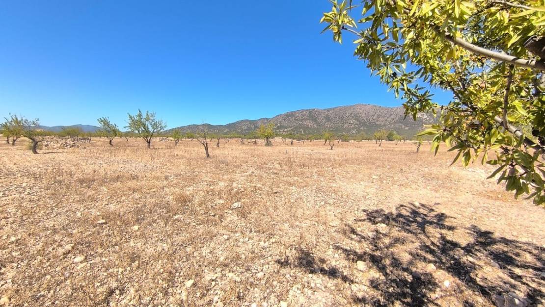 Sale - Land - Monóvar - Monòver - Monóvar - Monòver Centro