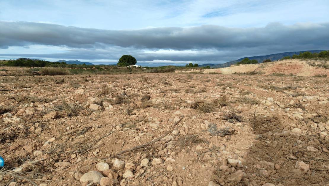 Sale - Land - Monóvar - Monòver - Monóvar - Monòver Centro