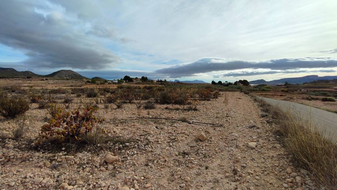 Sale - Land - Monóvar - Monòver - Monóvar - Monòver Centro