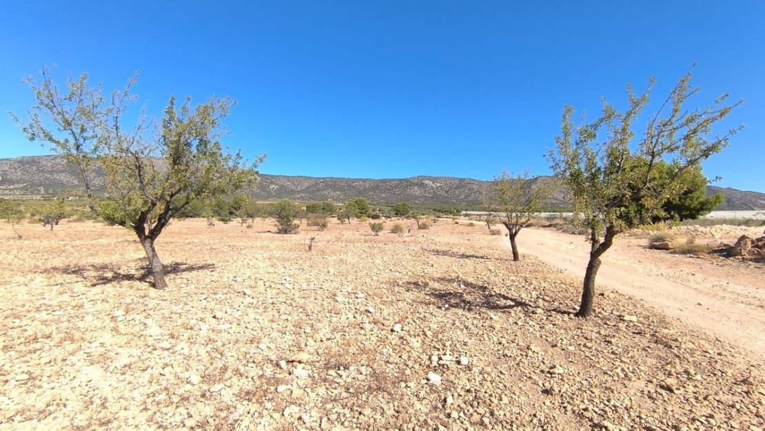 Sale - Land - Monóvar - Monòver - Monóvar - Monòver Centro