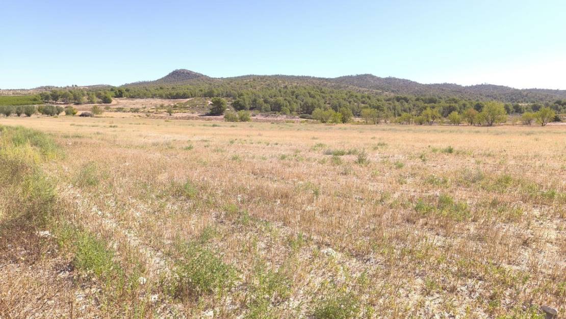 Sale - Land - Monóvar - Monòver - Monóvar - Monòver Centro