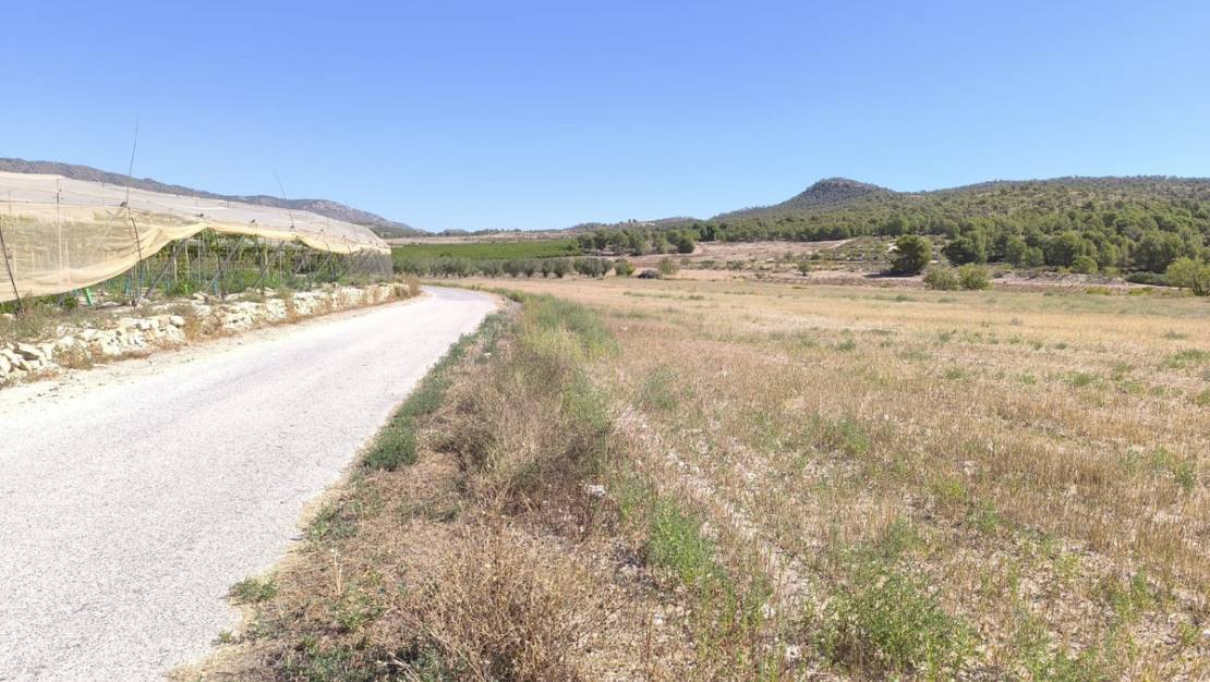 Sale - Land - Monóvar - Monòver - Monóvar - Monòver Centro