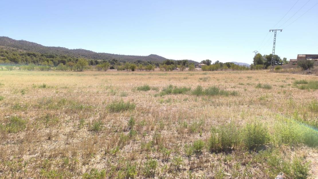 Sale - Land - Monóvar - Monòver - Monóvar - Monòver Centro