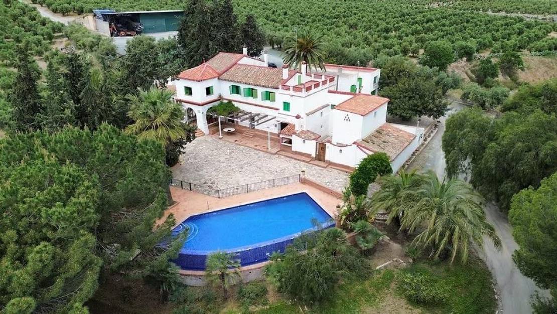 Sale - Land - Murcia - Murcia City