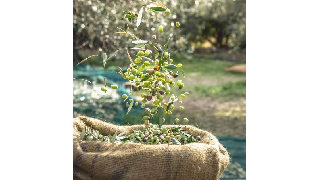 Sale - Land - Murcia - Murcia City