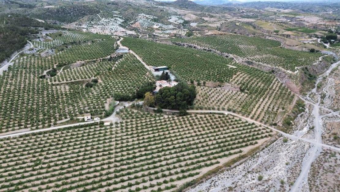 Sale - Land - Murcia - Murcia City