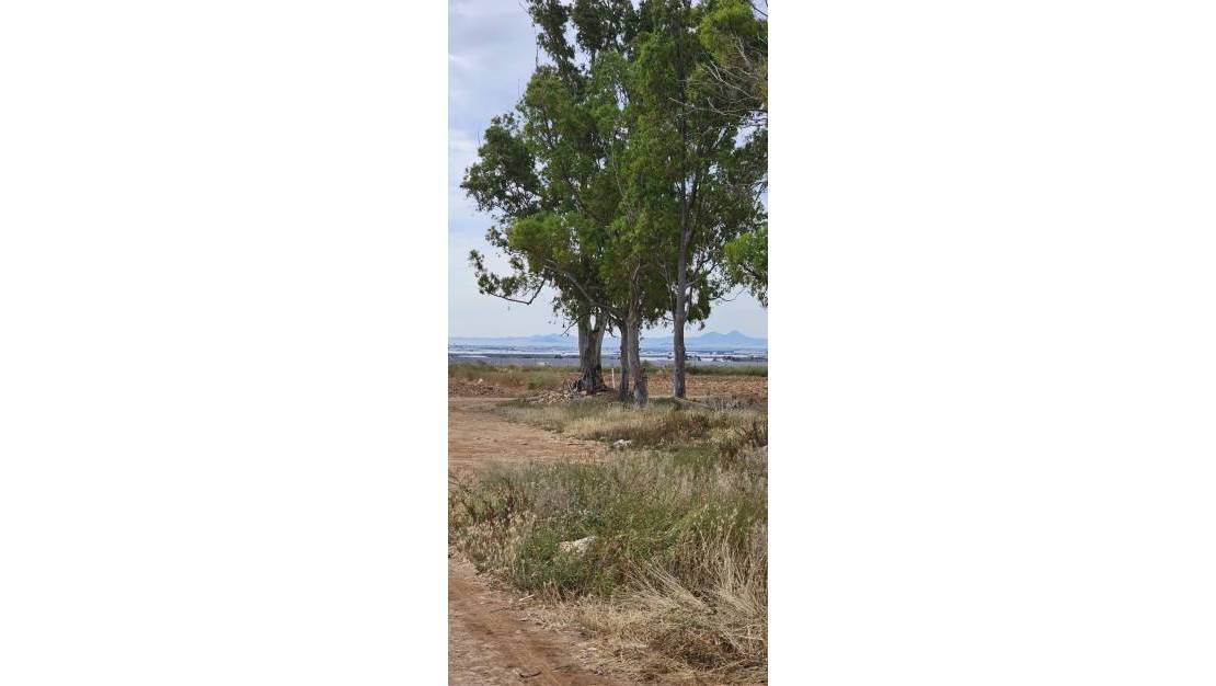 Sale - Land - Murcia - Sucina