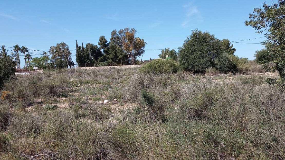 Sale - Land - Novelda - Novelda Centro