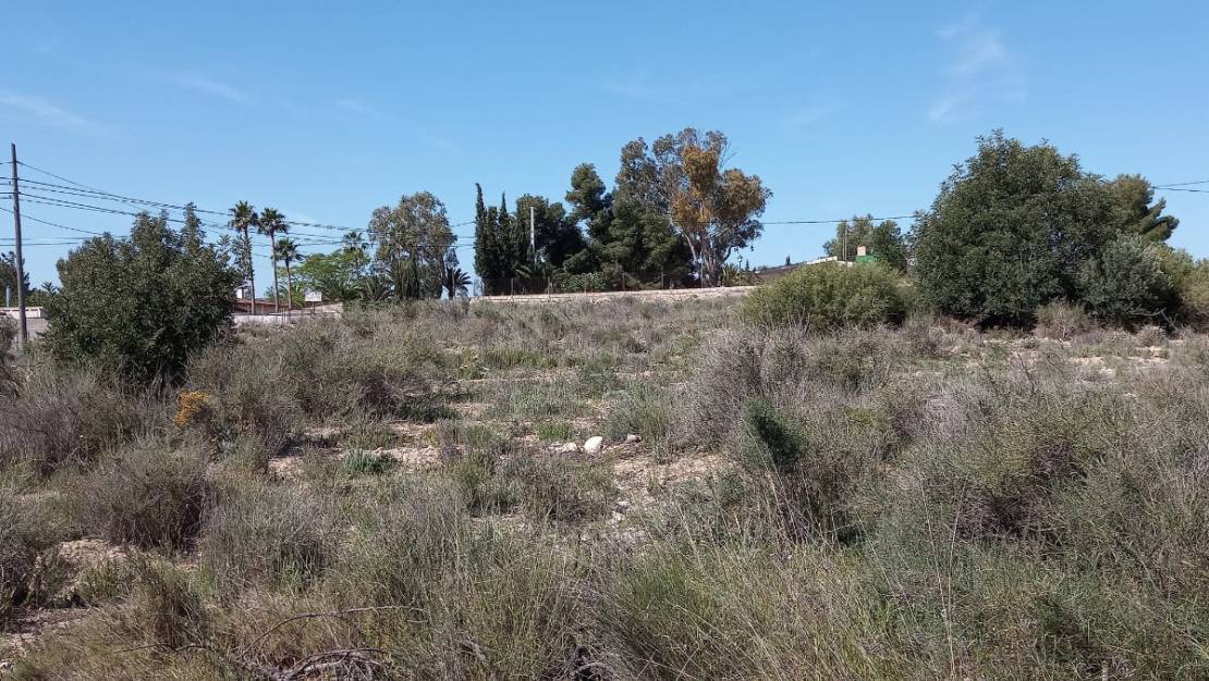 Sale - Land - Novelda - Novelda Centro