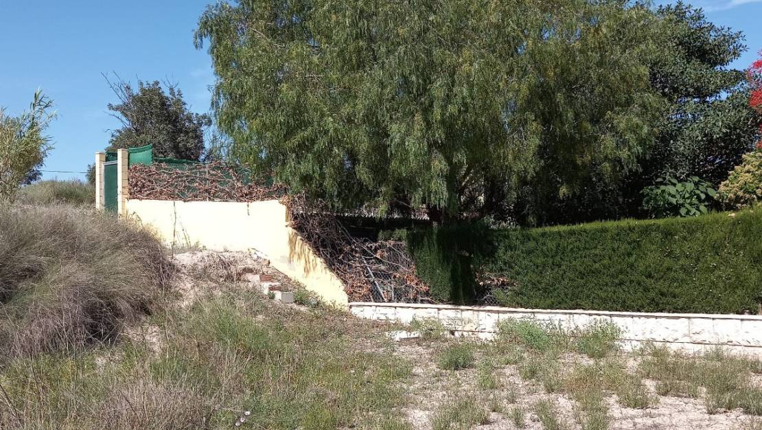 Sale - Land - Novelda - Novelda Centro