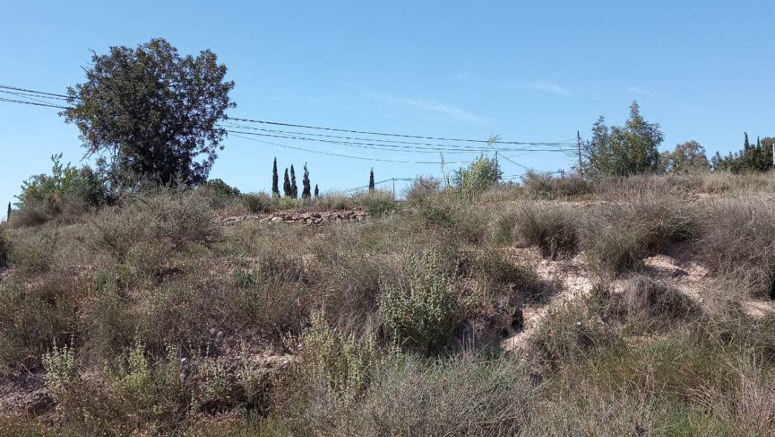 Sale - Land - Novelda - Novelda Centro