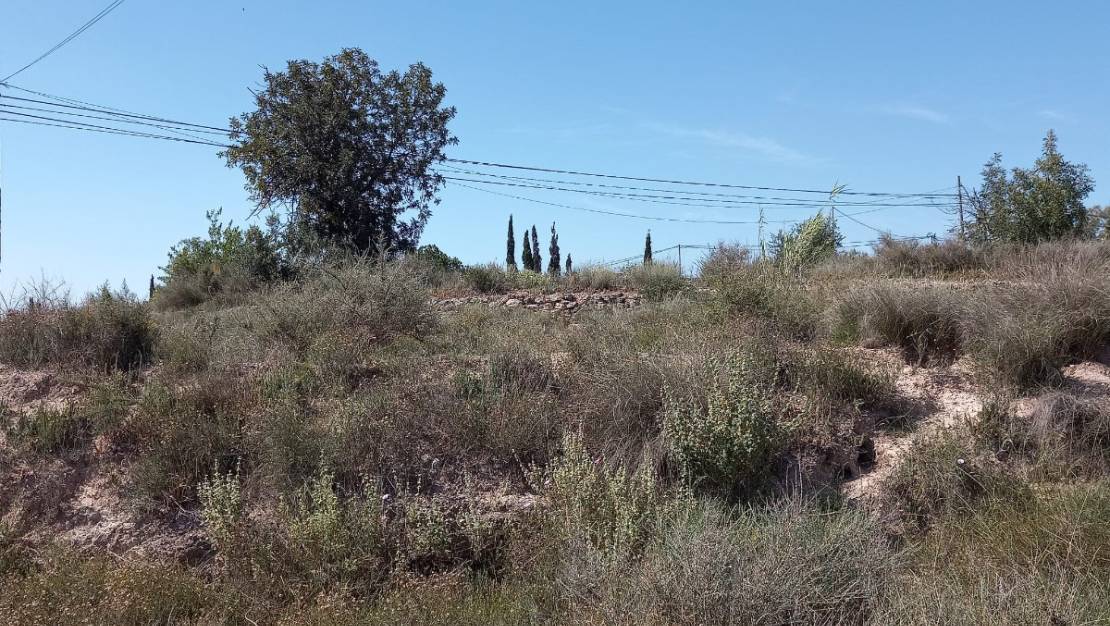 Sale - Land - Novelda - Novelda Centro