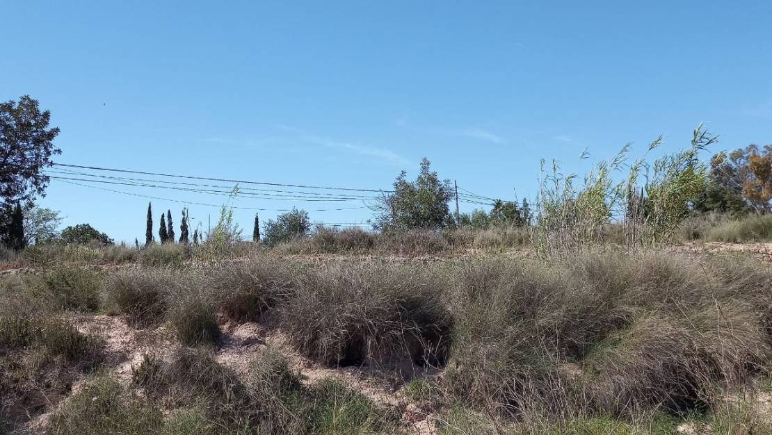 Sale - Land - Novelda - Novelda Centro