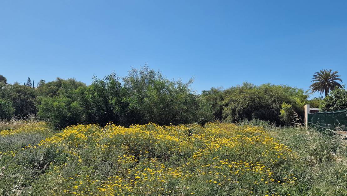 Sale - Land - Orihuela - Los Balcones