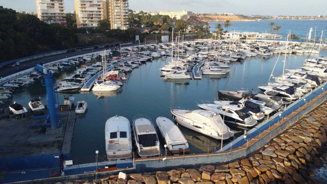Sale - Land - Orihuela - Orihuela Centro