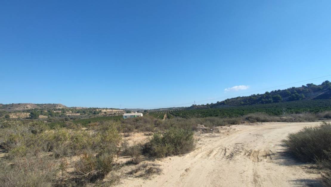 Sale - Land - Orihuela - Torremendo
