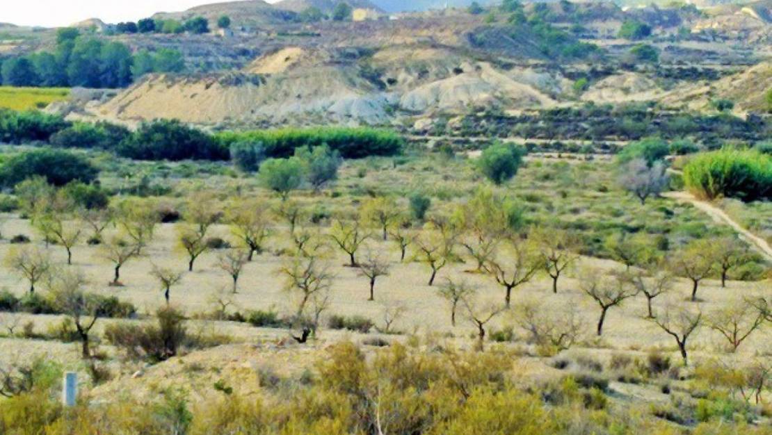 Sale - Land - Orihuela - Torremendo