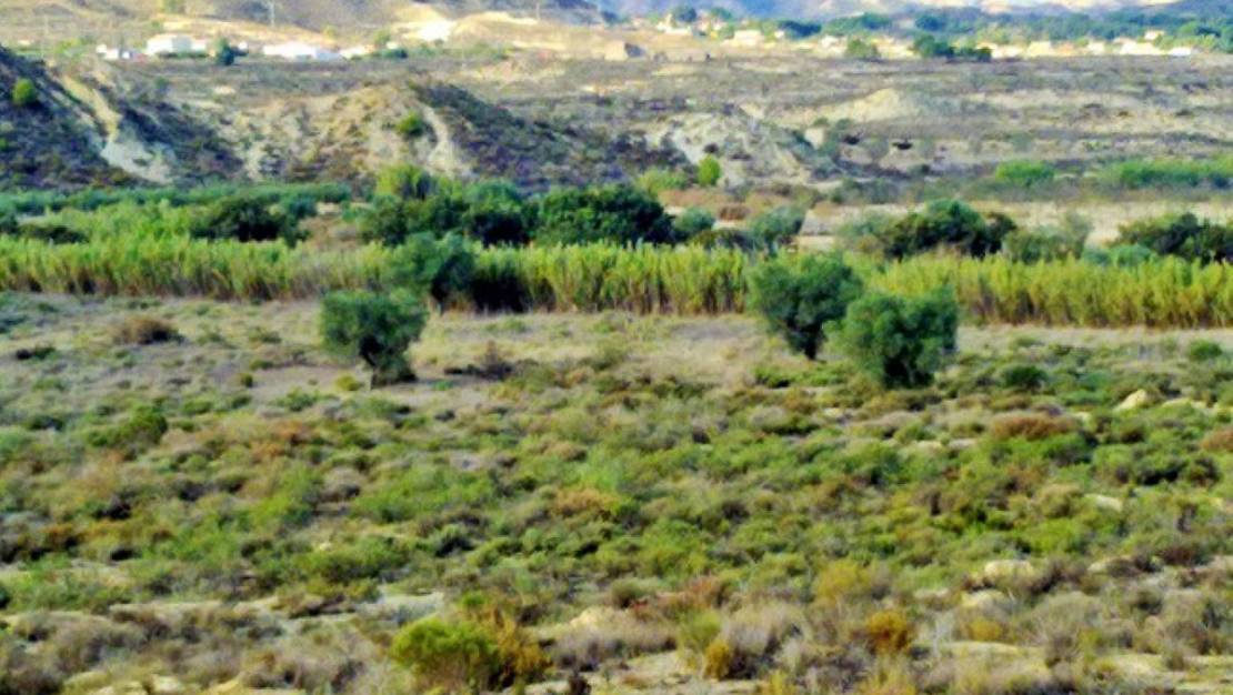 Sale - Land - Orihuela - Torremendo