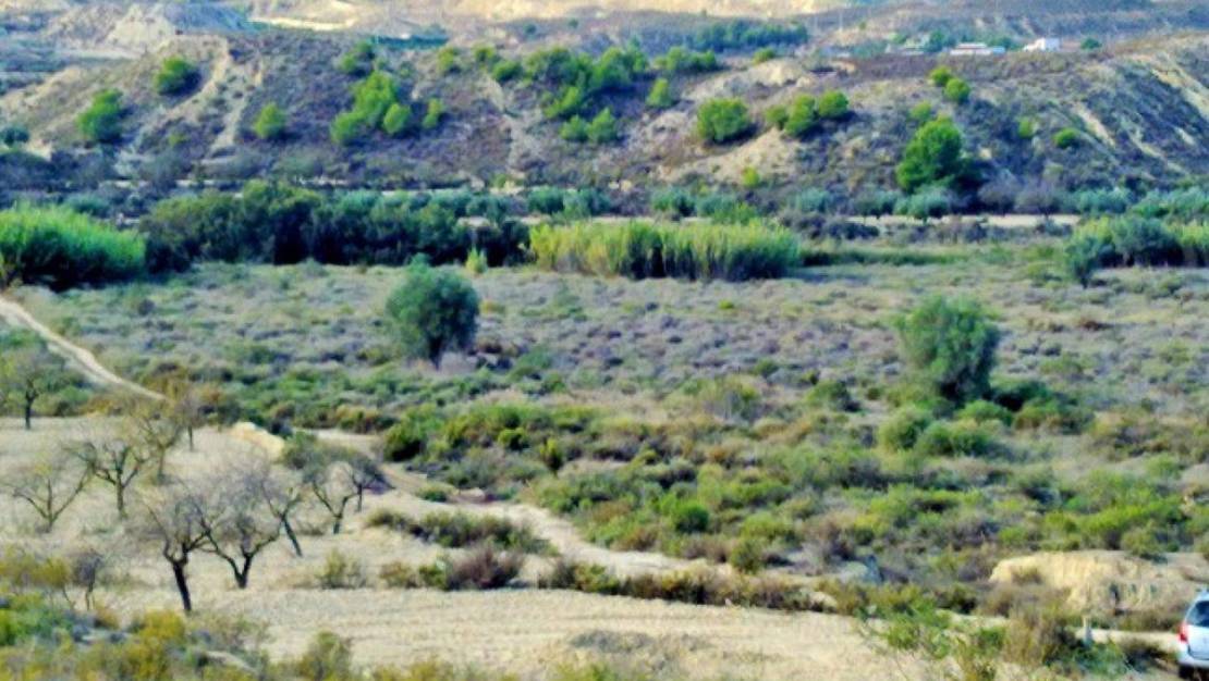 Sale - Land - Orihuela - Torremendo