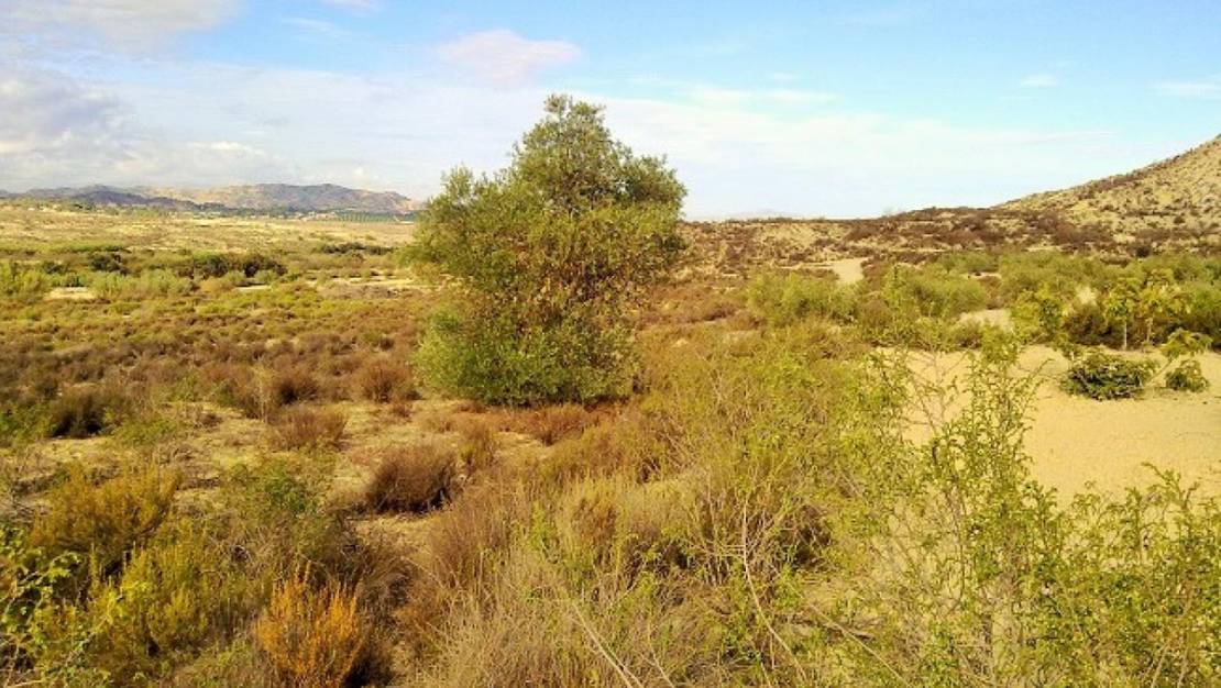 Sale - Land - Orihuela - Torremendo