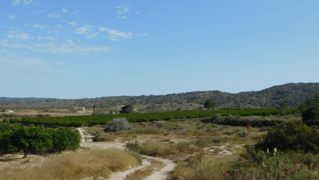 Sale - Land - Orihuela - Torremendo