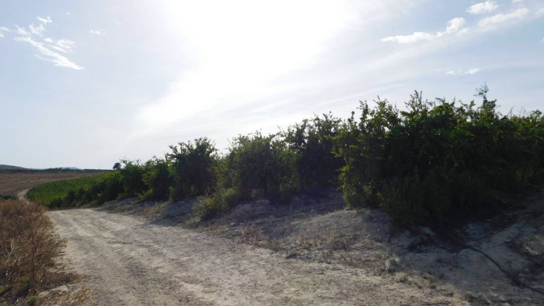 Sale - Land - Orihuela - Torremendo