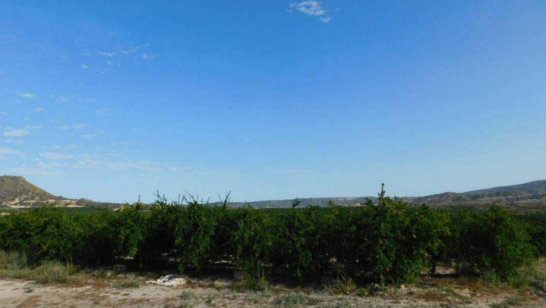 Sale - Land - Orihuela - Torremendo