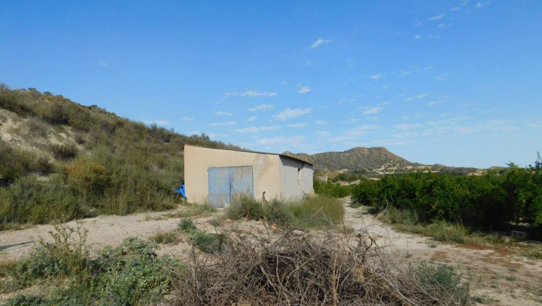 Sale - Land - Orihuela - Torremendo