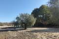 Sale - Land - Orihuela - Torremendo