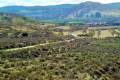 Sale - Land - Orihuela - Torremendo