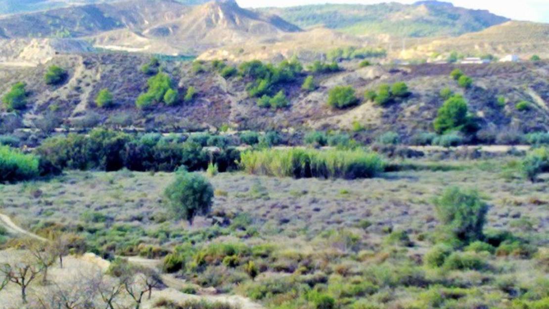 Sale - Land - Orihuela - Torremendo