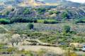Sale - Land - Orihuela - Torremendo