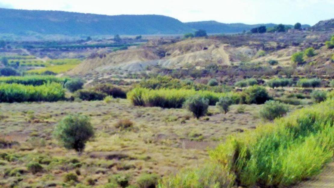 Sale - Land - Orihuela - Torremendo