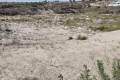 Sale - Land - Orihuela - Torremendo