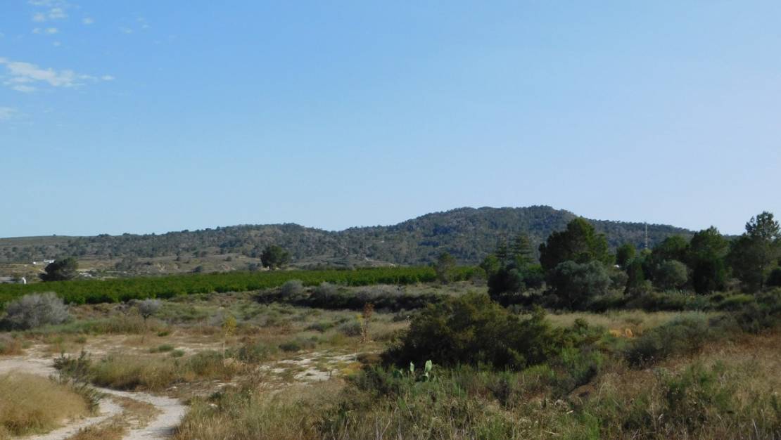 Sale - Land - Orihuela - Torremendo