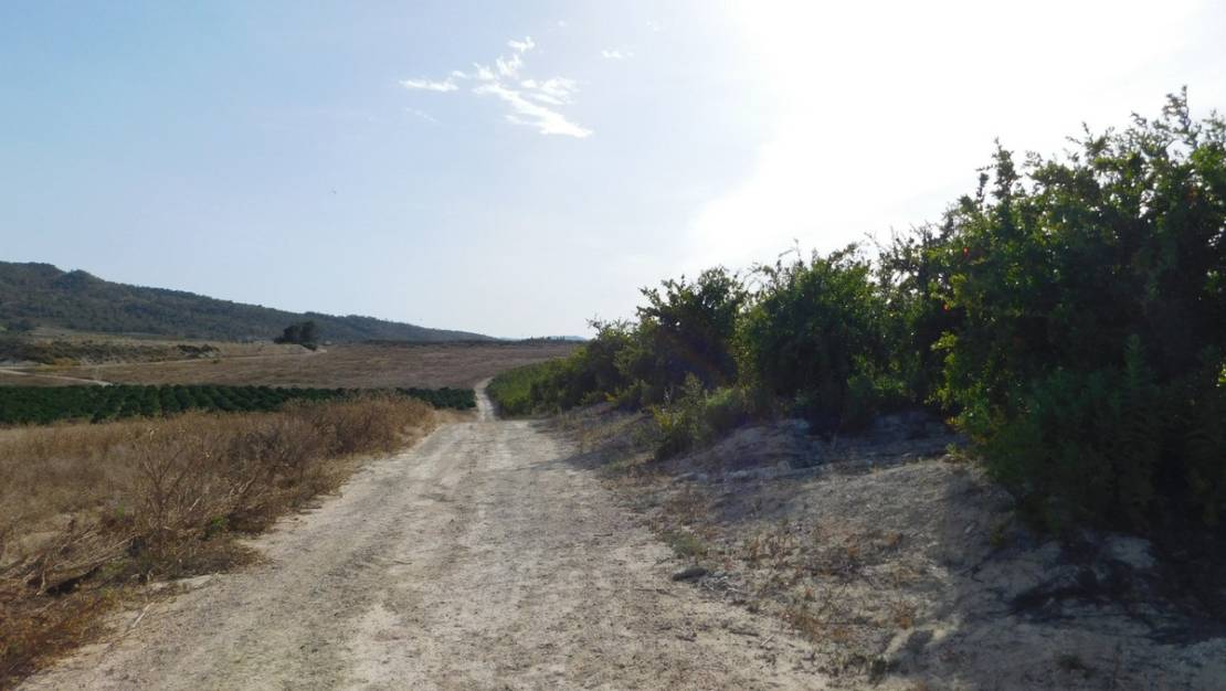 Sale - Land - Orihuela - Torremendo