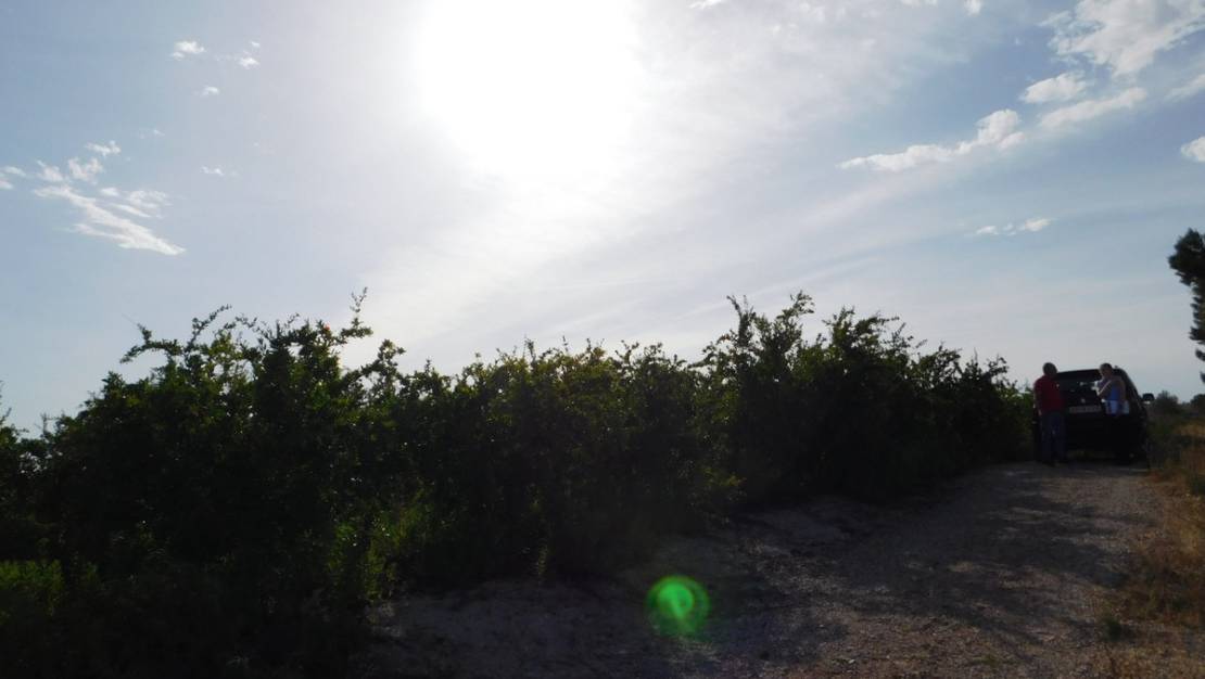 Sale - Land - Orihuela - Torremendo
